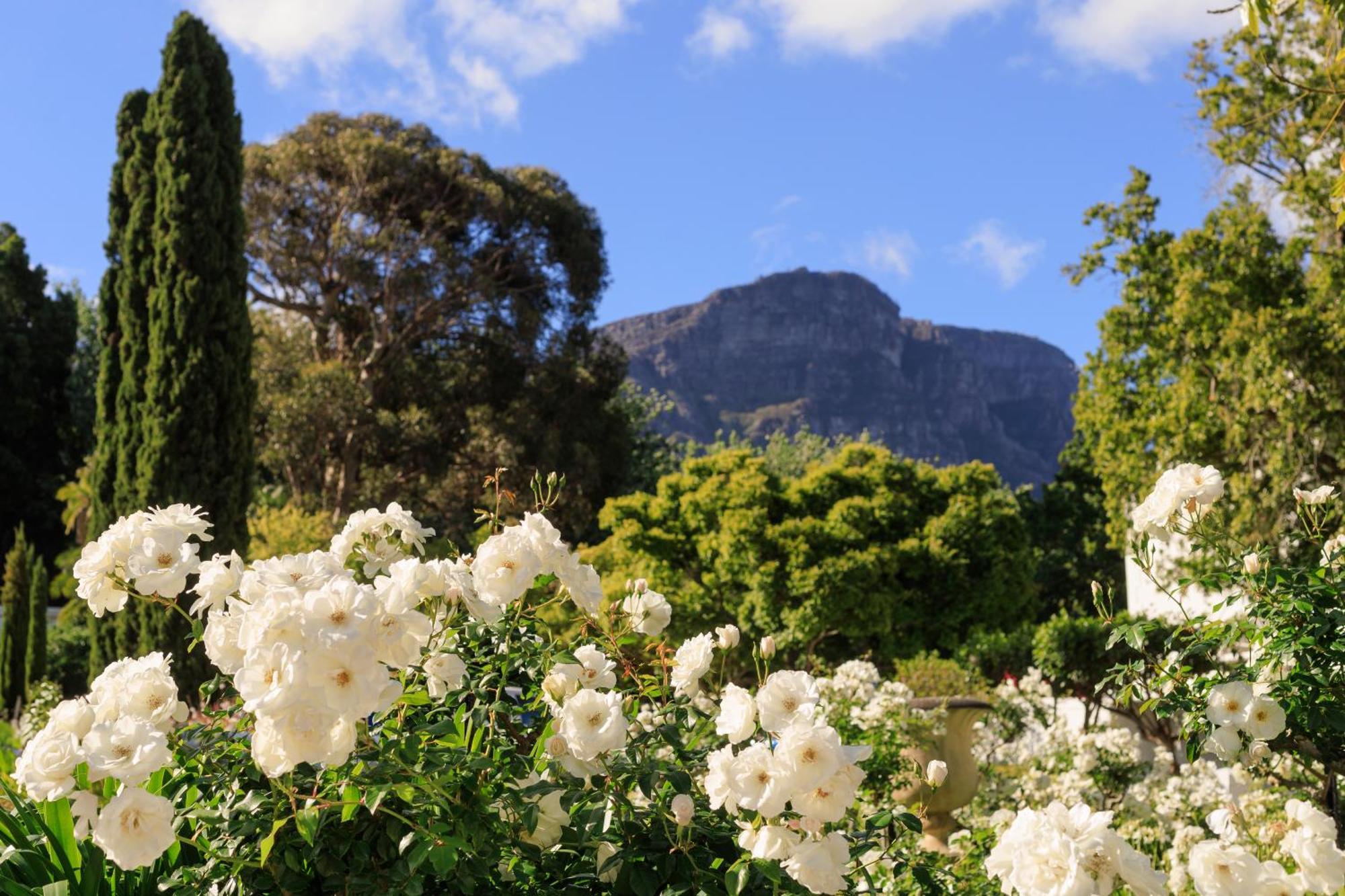 The Cellars-Hohenort Hotel Cape Town Bagian luar foto